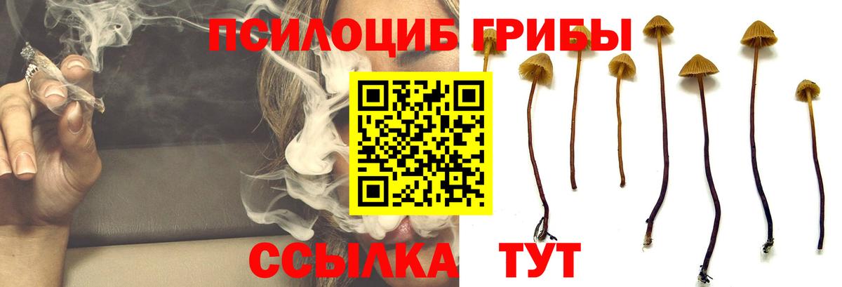 МЕФ кристаллы  Чебаркуль  ГАШ  КОКАИН  Меф  Вход с VPN  Бошки Шишки  Alpha-PVP СК  